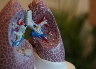 Professionals Who Play a Role in Treating Lung Cancer Lung Cancer