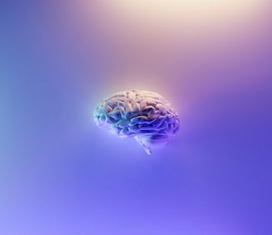 What Is the Difference Between Dementia and Alzheimer’s? Dementia