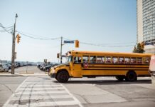 How To Effectively Design And Distribute School Report Cards school transport