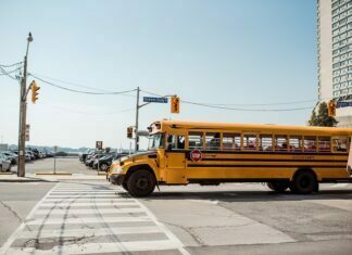 How To Effectively Design And Distribute School Report Cards school transport