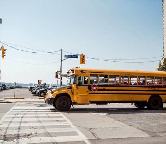 How To Effectively Design And Distribute School Report Cards school transport