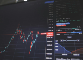 The Evolution of Online Trading: From Stocks to Digital Assets Evolution of Online Trading